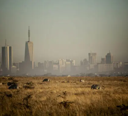 El Parque Nacional de Nairobi es un ecosistema único.