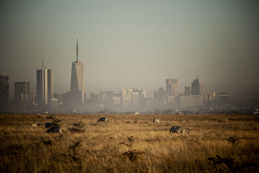 Nairobi National Park is a unique ecosystem.