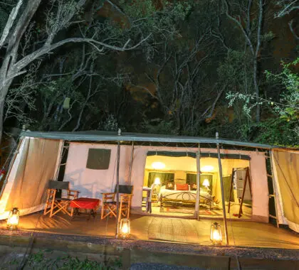 Nairobi Tented Camp una de las tiendas