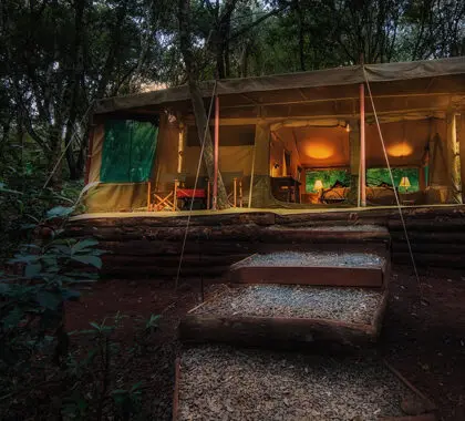 Nairobi_Tented_Camp_exterior-tent