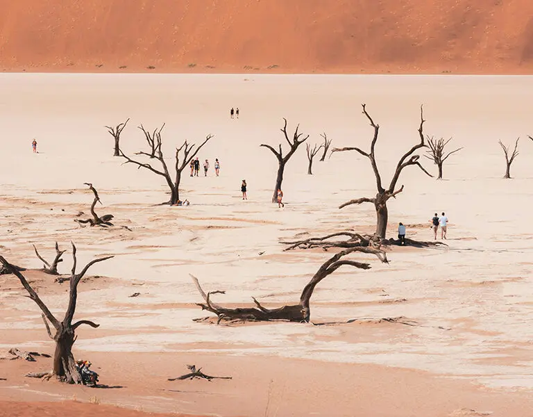 namibia-sossusvlei-deadvlei-joshua-kettle-unsplash