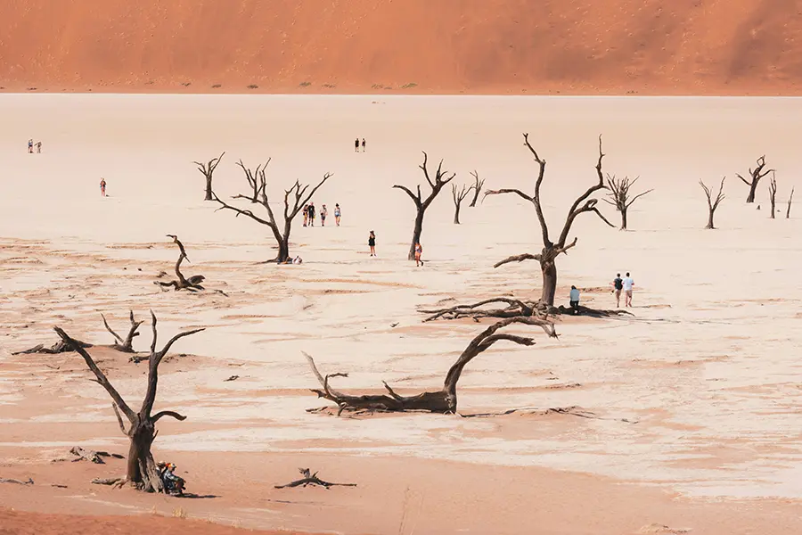 namibia-sossusvlei-deadvlei-joshua-kettle-unsplash