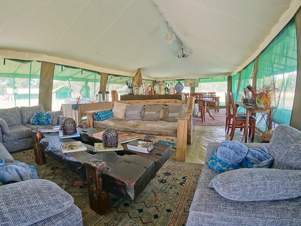 At the main tent, you can relax and feel at home while sipping on an ice-cold drink from the bar.
