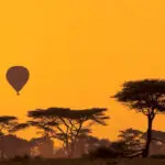 Air Balloon Safari