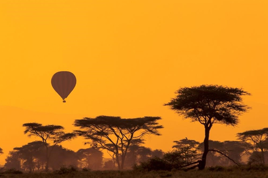 Air Balloon Safari