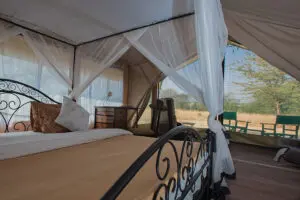Bedroom with a view