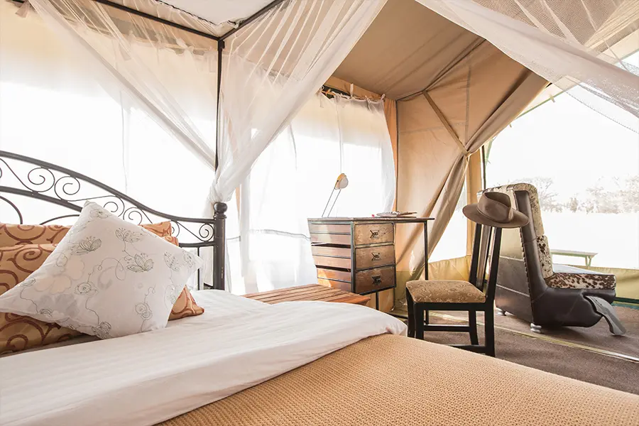 Camp room