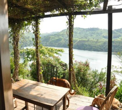 From the lodge's deck, you can appreciate a panoramic view of the Ugandan countryside.
