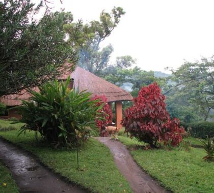 Your private cottage is surrounded by beautiful nature.
