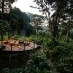 Eco-sensitive lodges tucked into the Congo rainforest.