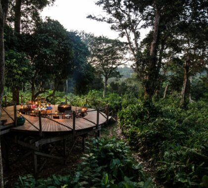 Eco-sensitive lodges tucked into the Congo rainforest.