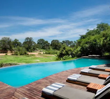 Swimming pool with a view.