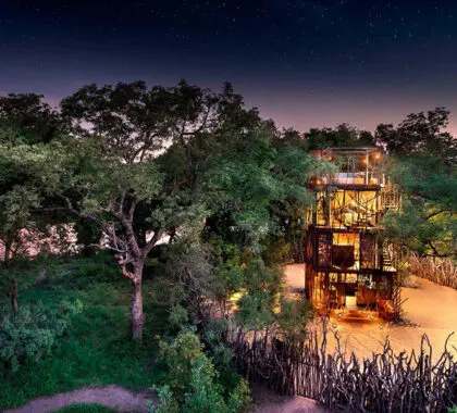 La casa del árbol en el Ngala Tented Camp. 