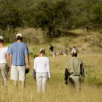 Safaris a pie en Kruger.