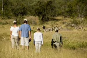 Safaris a pie en Kruger.