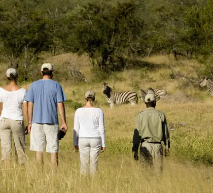 Walking safaris in Kruger.