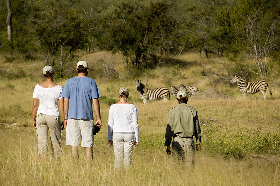 Walking safaris in Kruger.