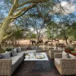 Exciting dining at Ngala Safari Lodge.