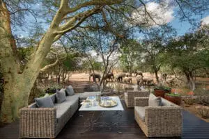Exciting dining at Ngala Safari Lodge.