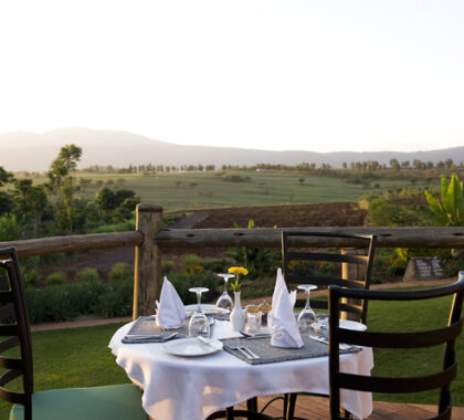 Enjoy a scrumptious breakfast as your eyes' feast on the stunning surrounding coffee farm.