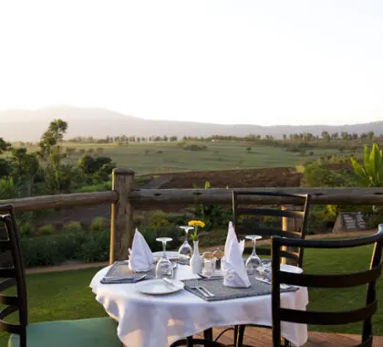 Disfrute de un suculento desayuno mientras contempla el impresionante cafetal de los alrededores.