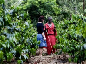 Conozca el café tanzano en un paseo por la plantación con un guerrero masai.