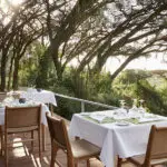 Dine under the acacia trees.