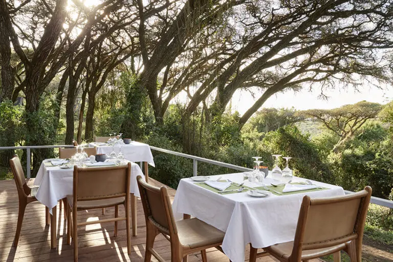 Dine under the acacia trees.