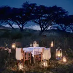 Dine under the stars.