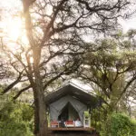 Despierta a las Maravillas del Ngorongoro | Ngorongoro Crater Camp