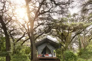 Despierta a las Maravillas del Ngorongoro | Ngorongoro Crater Camp