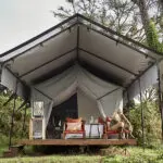 Authentic African safari.