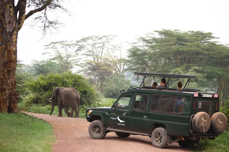 Get close to the African wildlife.