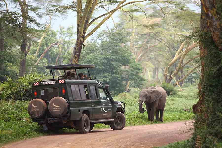 Excellent Big 5 game viewing year-round