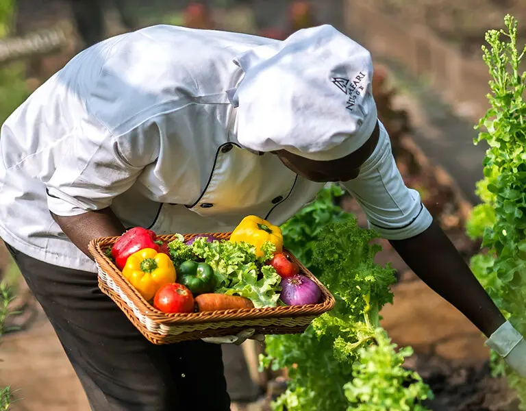 Fresh farm to table dining. 