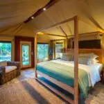 Luxury tented suites are spacious, comfortable and offer a sense of authenticity and traditional safari style.
