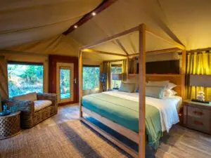 Luxury tented suites are spacious, comfortable and offer a sense of authenticity and traditional safari style.

