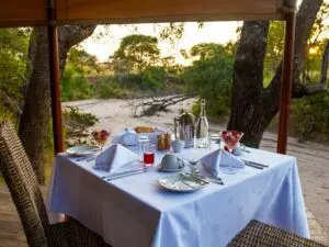 After a morning safari, return to the lodge for a full brunch.
