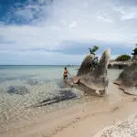 Nadar, hacer snorkel, bucear o remar: las cálidas y cristalinas aguas del lago Malawi son ideales para todos ellos.