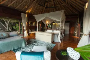 Amplias suites | North Island Lodge