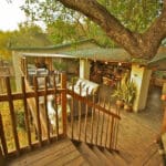 Notten's Bush Camp es uno de los lodges privados originales de Sudáfrica.