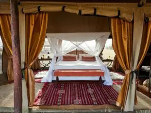 Start the day with Serengeti views from the comfort of your enormous bed.
