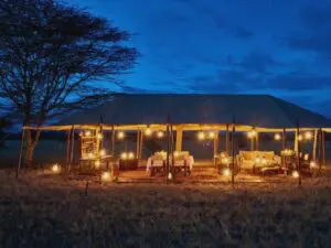 A lantern-lit mess tent awaits guests at the end of the day for drinks, dinner & a safari story or two.
