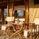 Coffee & tea are bought to your suite in the early morning before your private game drive.
