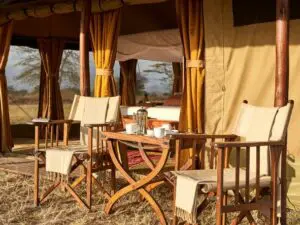 Coffee & tea are bought to your suite in the early morning before your private game drive.
