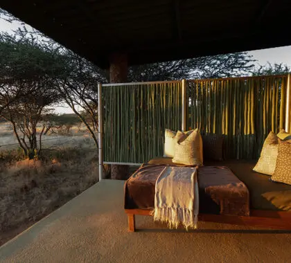 Ontspan buiten je chalet en ga vogels kijken.