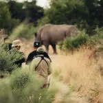 Spot a rhino on foot.