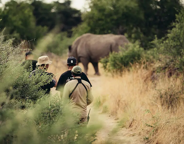 Spot a rhino on foot.