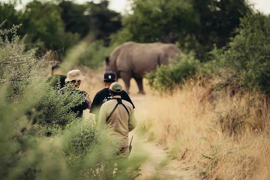Spot a rhino on foot.