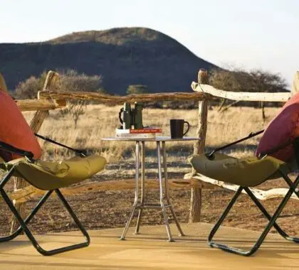 Relax outside your chalet and enjoy a bit of bird-watching.